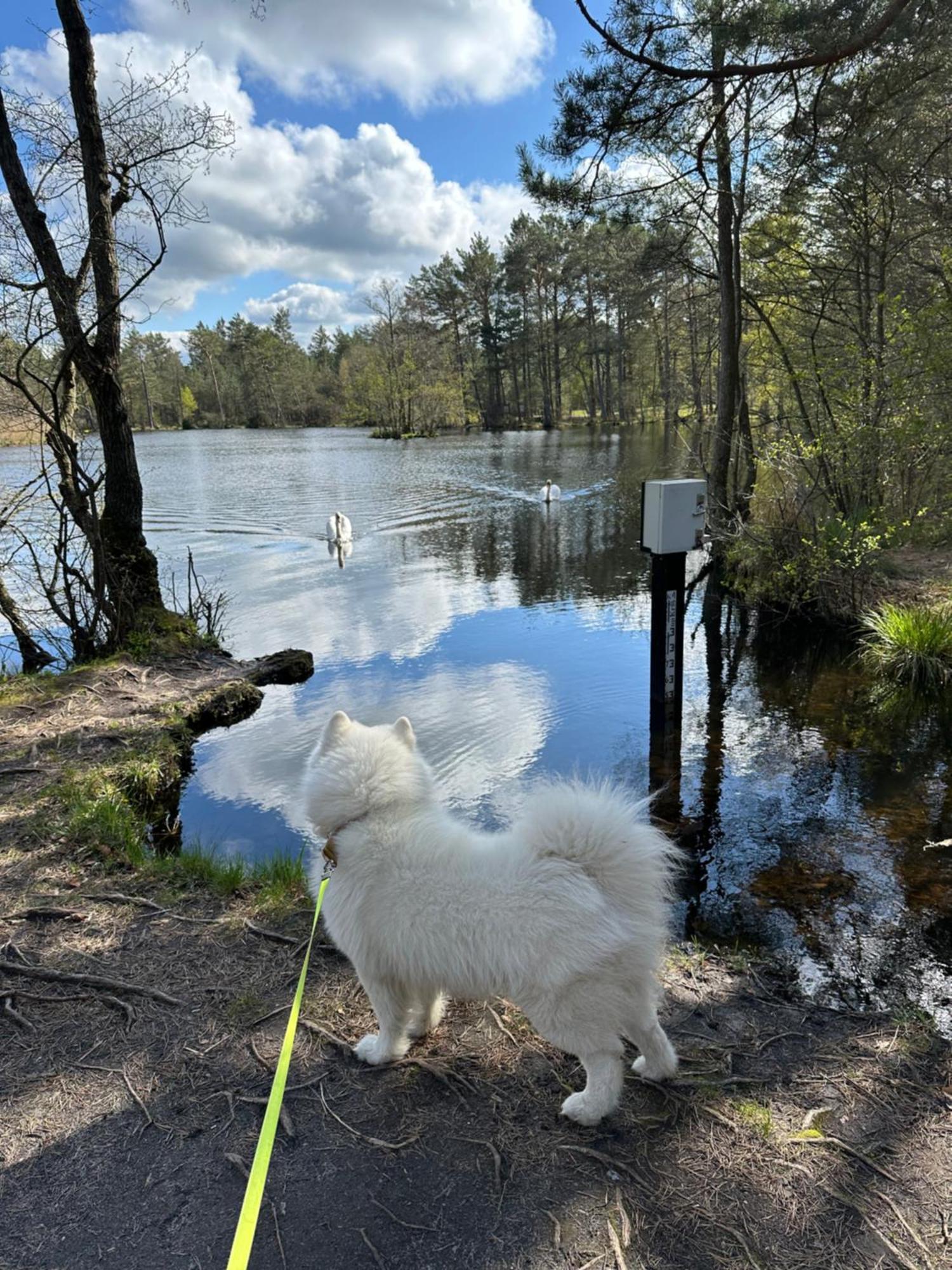 Domki Skandynawskie Kopalino Exteriér fotografie