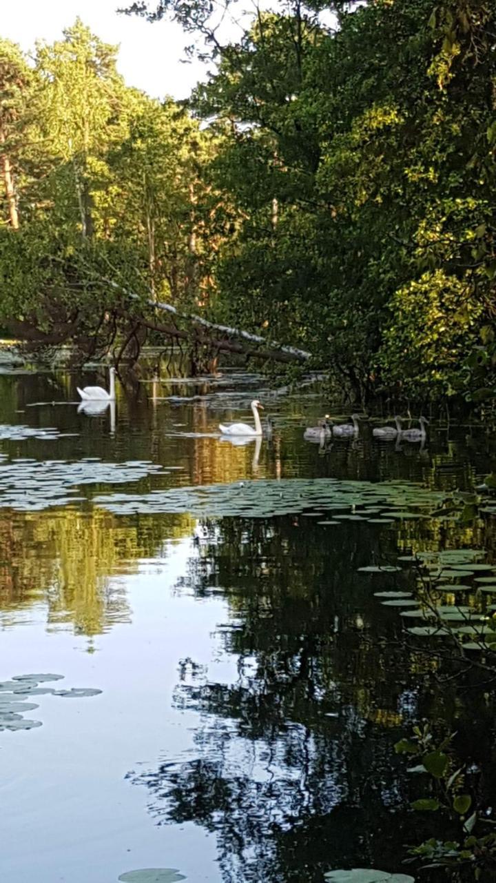 Domki Skandynawskie Kopalino Exteriér fotografie